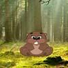 play Beaver Forest Escape