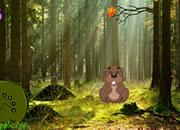 play Beaver Forest Escape