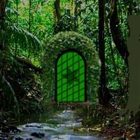 play Deep-Rainforest-Escape-Games2Rule
