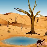 play Escape From Desert Using Helicopter Knfgame