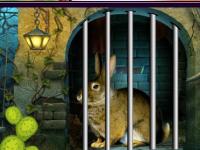 play Cony Rescue