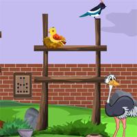 play Games4Escape Zoo Escape