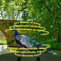 play Escape Game: Save The Peafowl