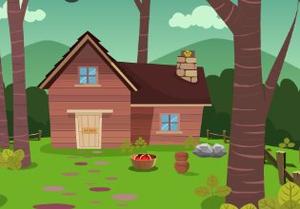 play Small Boy Rescue From House