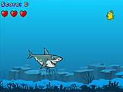 play Snappy Shark Game