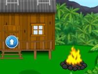 play Nature Escape - Jungle