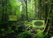 play Wet Clay Forest Escape