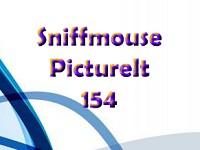 play Pictureit 154