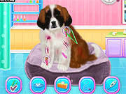 play St Bernard Puppy Day Care Game