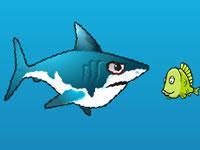 play Snappy Shark