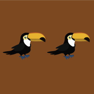 play Touch Same Birds