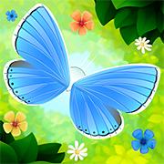 play Butterfly Kyodai