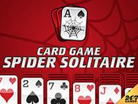 Card Game Spider Solitaire