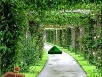 play Mansion Garden Escape