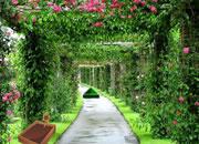 play Mansion Garden Escape