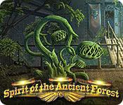 play Spirit Of The Ancient Forest