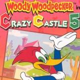 play Woody Woodpecker In Crazy Castle 5