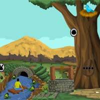 play Poison Frog Escape Games4Escape