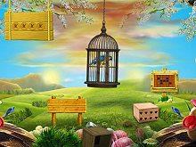 play Macaw Escape
