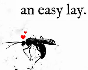 play An Easy Lay