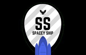 play Spacey Ship