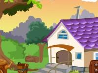 play Cute Raccoon Rescue