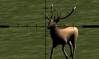 play Deer Hunter