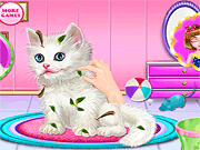 play Kitty Care And Grooming Game