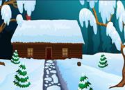 play Arctic