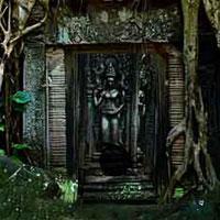 play Mayas Dynasty Forest Escape Wowescape