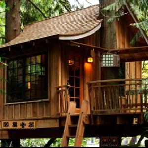 play Treasure Tree House Escape