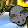 play Cheese Hunt