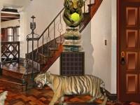 play Taxidermy House Escape