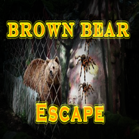 8B Brown Bear Escape