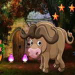 play Cute Buffalo Rescue Escape