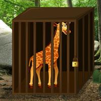 play Escape Game: Save The Giraffe