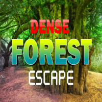 play 8B Dense Forest Escape