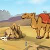 play Games4Escape Desert Camel Rescue