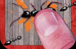 play Smash The Ants