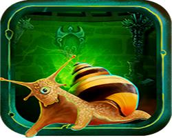 play Snail House