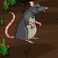 play Nsr Adventures Of Mouse Black And White