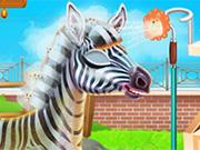 play Zebra Caring