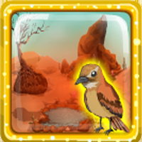 play Desert Bird Escape