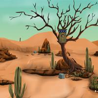 play Games4Escape Desert Bird Escape