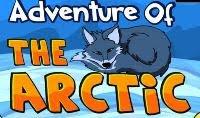 play Nsr Adventure Of Arctic Escape