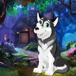 play Eurasian Wolf Rescue Escape