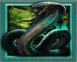 play Snake Forest