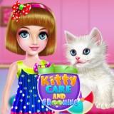 play Kitty Care And Grooming