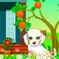 play Chubby Dog Escape