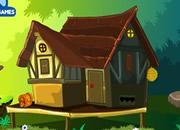 play Wild Bear Escape